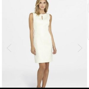 Tahari Dress